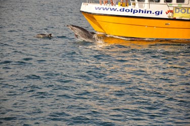 Tour di Gibilterra con crociera per l’avvistamento dei delfini da Malaga